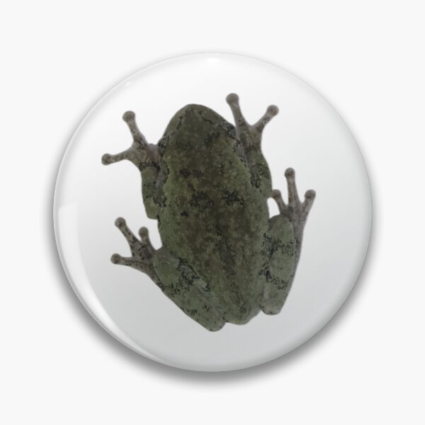 Item preview, Gray Treefrog designed and sold by SeguiNatura.
