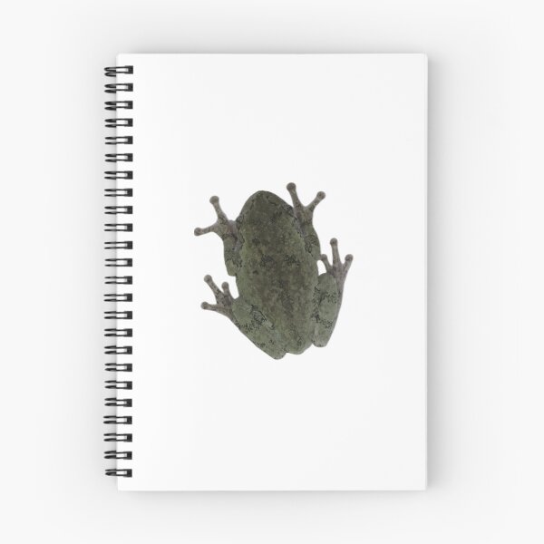 Item preview, Gray Treefrog designed and sold by SeguiNatura.