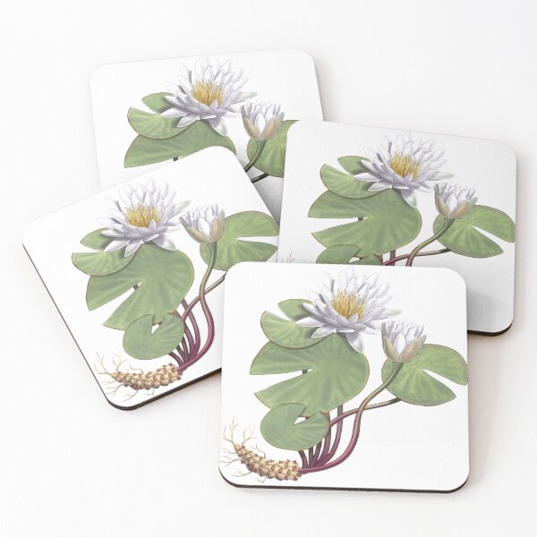 Item preview, American White Waterlily designed and sold by JadaFitch.