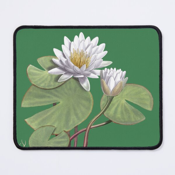 Item preview, American White Waterlily designed and sold by JadaFitch.