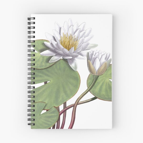 Item preview, American White Waterlily designed and sold by JadaFitch.