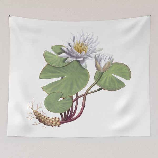 Item preview, American White Waterlily designed and sold by JadaFitch.