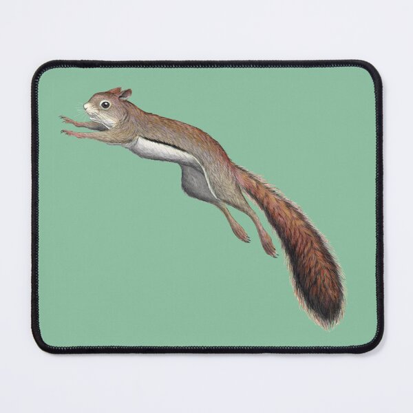 Item preview, American Red Squirrel designed and sold by JadaFitch.