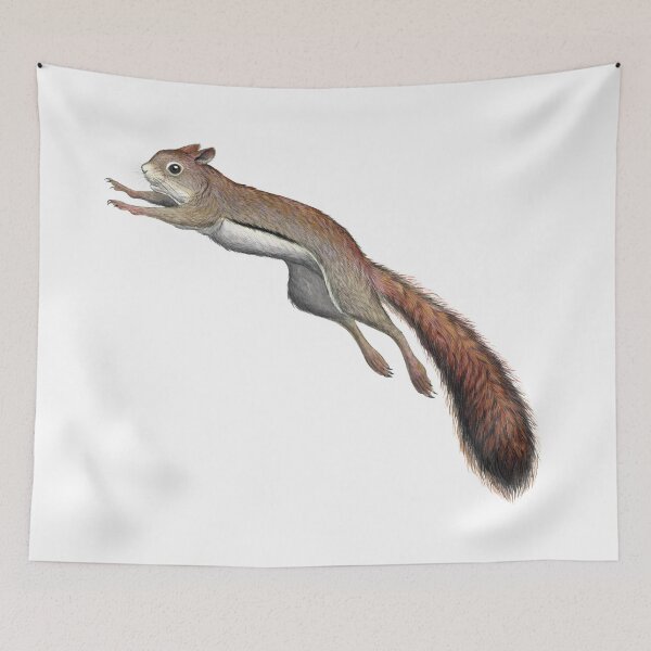 Item preview, American Red Squirrel designed and sold by JadaFitch.