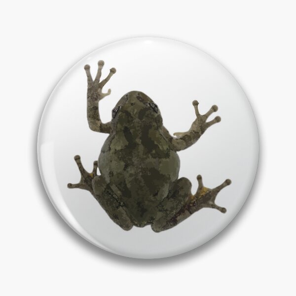 Item preview, Gray Treefrog 2 designed and sold by SeguiNatura.