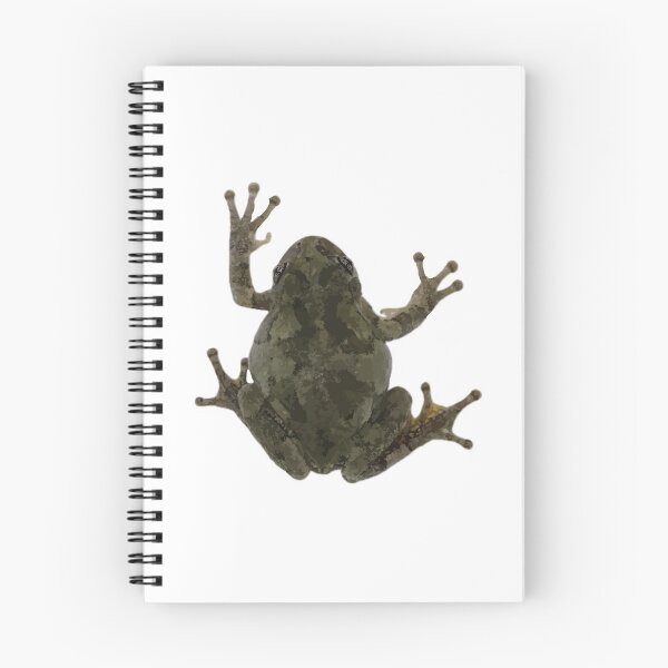 Item preview, Gray Treefrog 2 designed and sold by SeguiNatura.