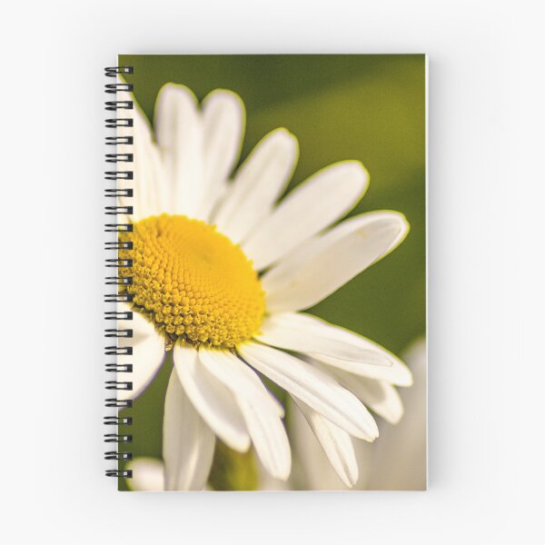 Item preview, Daisy designed and sold by Paul Madden.