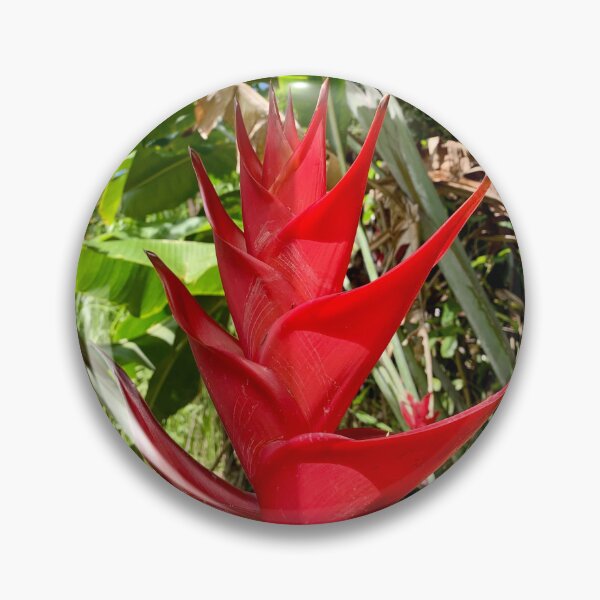 Item preview, Red Heliconia Flower in Tropical Garden designed and sold by TrisaThyme.