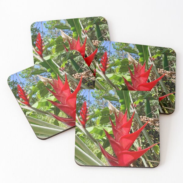 Item preview, Red Heliconia Flower in Tropical Garden designed and sold by TrisaThyme.