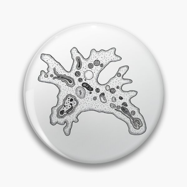 Item preview, Amoeba designed and sold by Naux | Design & Illustration.