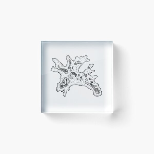 Item preview, Amoeba designed and sold by Naux | Design & Illustration.