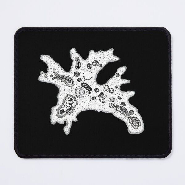 Item preview, Amoeba designed and sold by Naux | Design & Illustration.