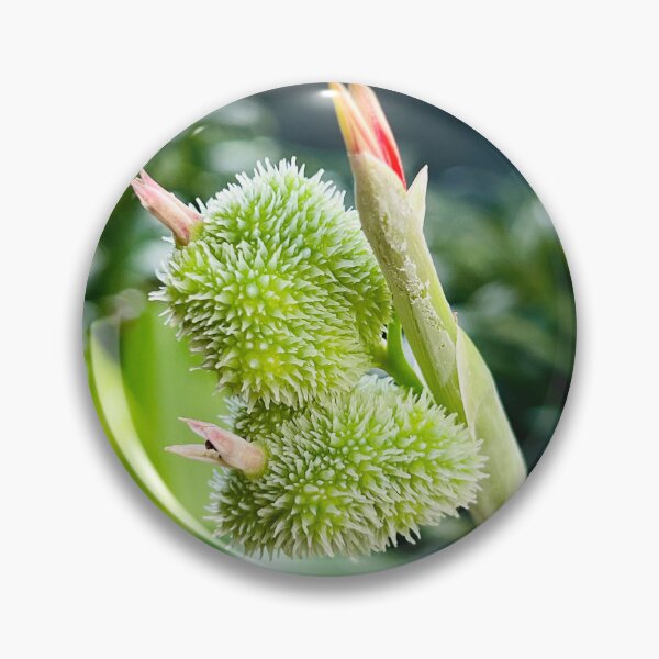 Item preview, Tropical Flower Blooming designed and sold by Daria Lev Photo Art.