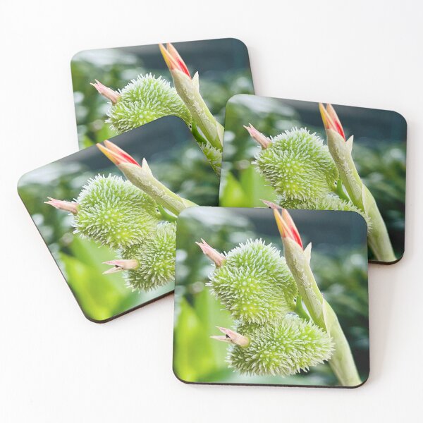 Item preview, Tropical Flower Blooming designed and sold by Daria Lev Photo Art.