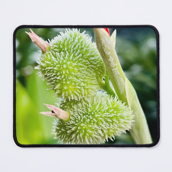Item preview, Tropical Flower Blooming designed and sold by Daria Lev Photo Art.