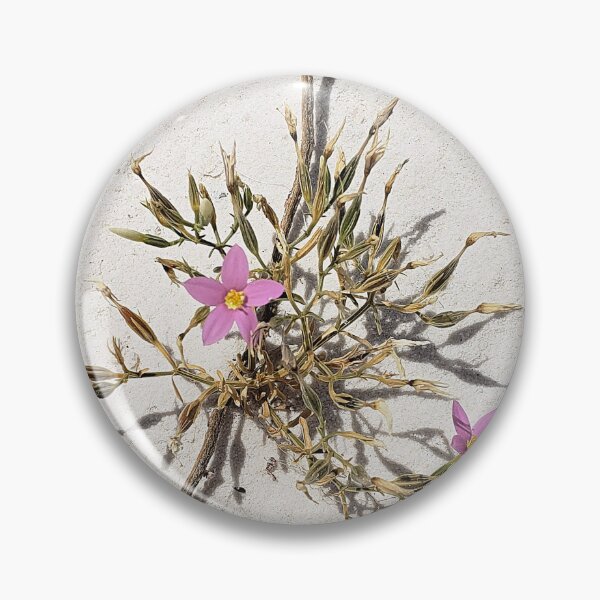 Item preview, Rosita  designed and sold by Amber Cosby.