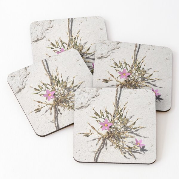 Item preview, Rosita  designed and sold by Amber Cosby.