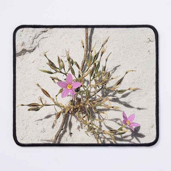 Item preview, Rosita designed and sold by Amber Cosby.