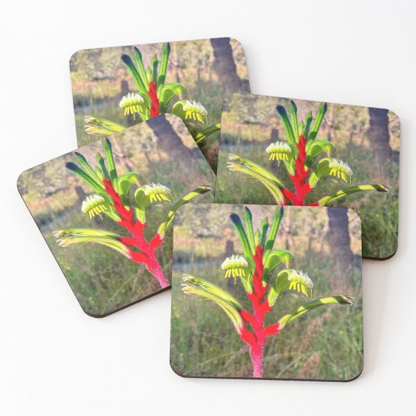 Item preview, Red and Green Kangaroo Paw Wildflower in Morning Light designed and sold by Be Captured by Brittany Emma.