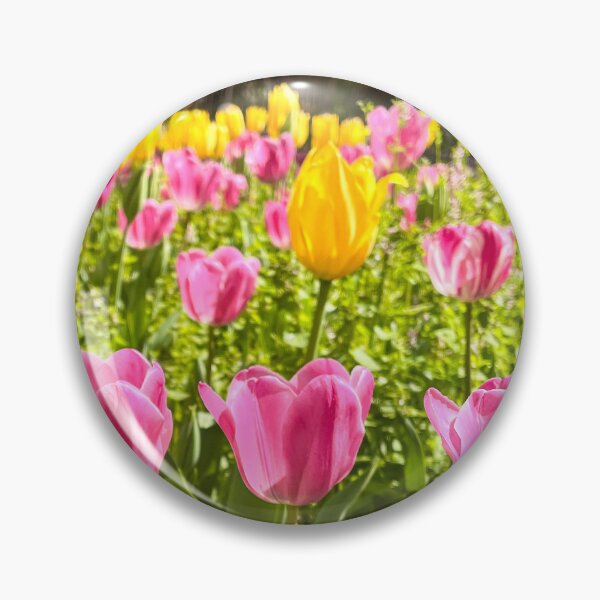 Item preview, Pink and Yellow Tulip Field Under Spring Sunlight designed and sold by Be Captured by Brittany Emma.