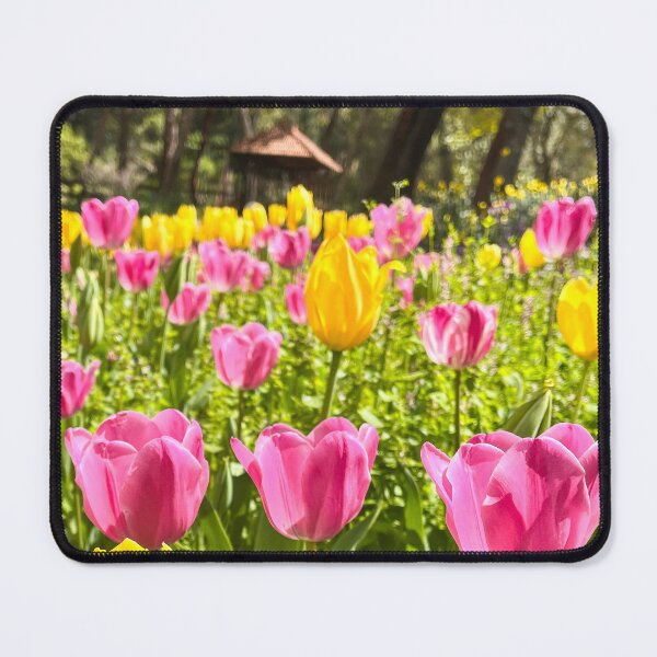 Item preview, Pink and Yellow Tulip Field Under Spring Sunlight designed and sold by Be Captured by Brittany Emma.