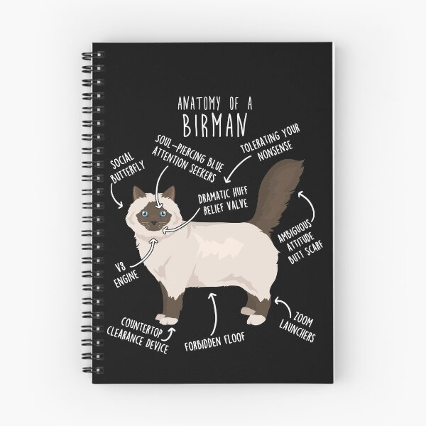 Item preview, Chocolate Point Birman Cat Anatomy designed and sold by Clara Hollins.