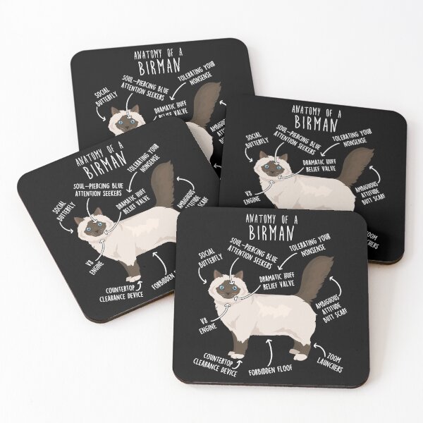 Item preview, Chocolate Point Birman Cat Anatomy designed and sold by Clara Hollins.