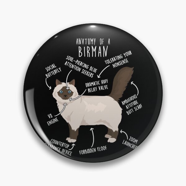 Item preview, Chocolate Point Birman Cat Anatomy designed and sold by Clara Hollins.