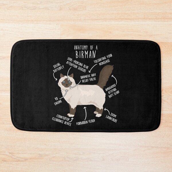 Item preview, Chocolate Point Birman Cat Anatomy designed and sold by Clara Hollins.