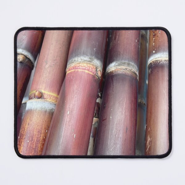 Item preview, Sugarcane Stalks – Tropical Plant Photography designed and sold by TrisaThyme.