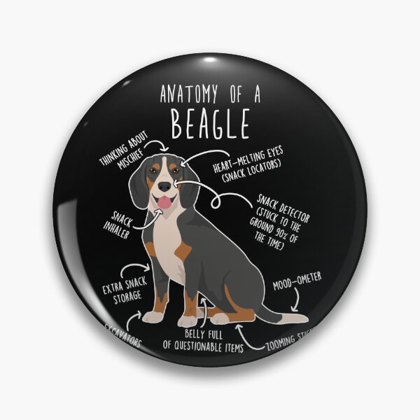Artikelvorschau, Anatomie des Blue Tick Beagle Hundes entworfen und verkauft von Clara Hollins.