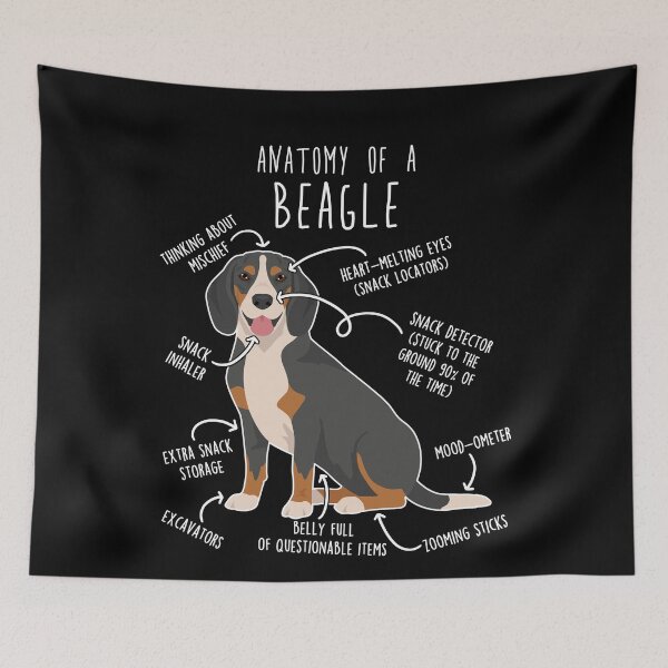 Item preview, Blue Tick Beagle Dog Anatomy designed and sold by Clara Hollins.