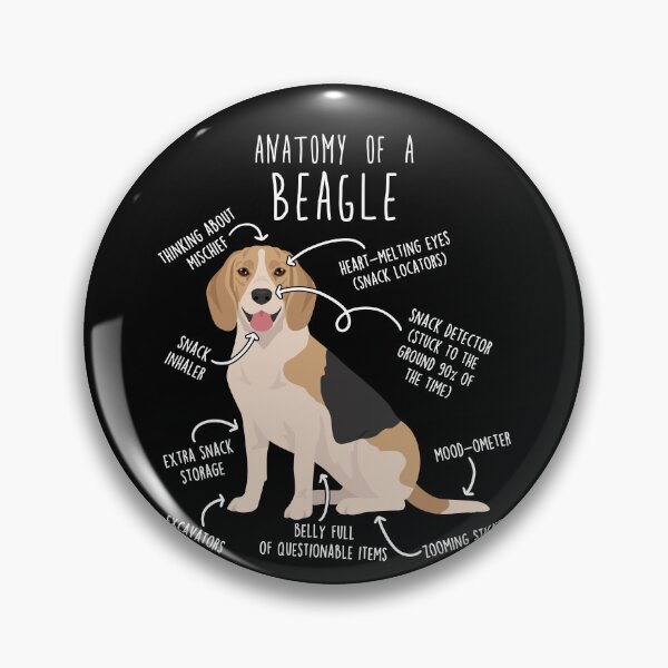 Artikelvorschau, Anatomie des Beagle-Hundes (Fawn) entworfen und verkauft von Clara Hollins.