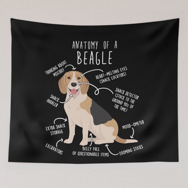 Item preview, Fawn Beagle Dog Anatomy designed and sold by Clara Hollins.