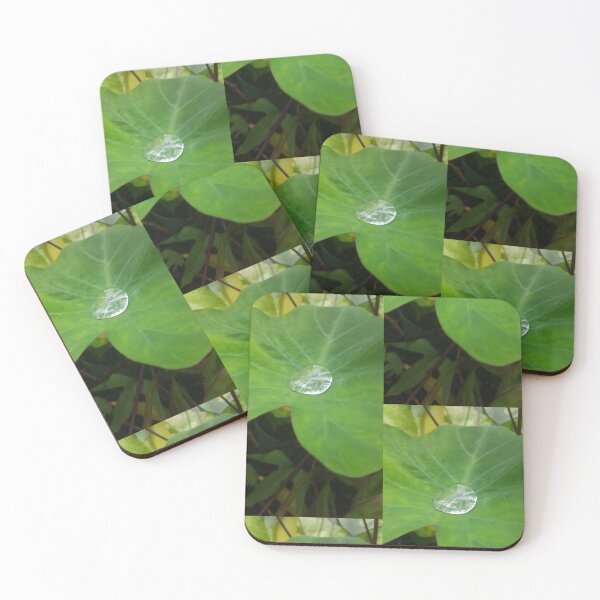Item preview, Water Droplet on Green Leaf – Nature Photography designed and sold by TrisaThyme.