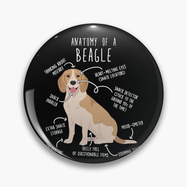Artikelvorschau, Anatomie des Lemon Beagle Hundes entworfen und verkauft von Clara Hollins.
