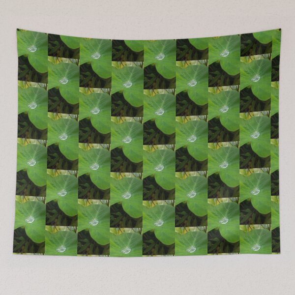 Item preview, Water Droplet on Green Leaf – Nature Photography designed and sold by TrisaThyme.