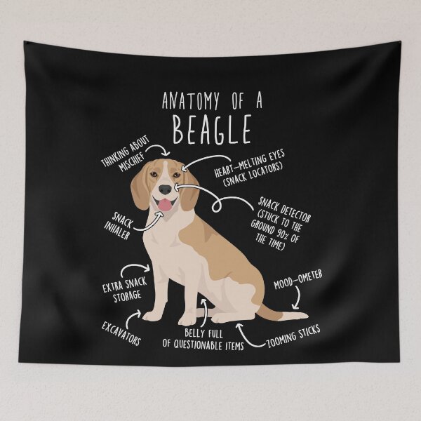 Item preview, Lemon Beagle Dog Anatomy designed and sold by Clara Hollins.