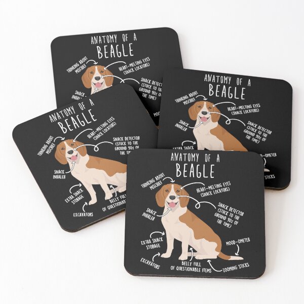 Item preview, Red and White Beagle Dog Anatomy designed and sold by Clara Hollins.