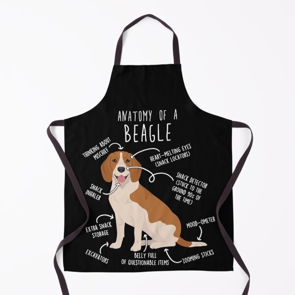 Artikelvorschau, Anatomie des rot-weißen Beagles entworfen und verkauft von Clara Hollins.