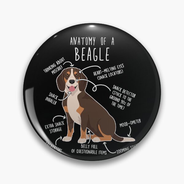 Artikelvorschau, Anatomie des Schokoladen-Beagles entworfen und verkauft von Clara Hollins.