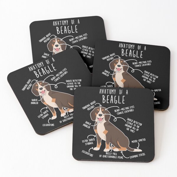Item preview, Chocolate Beagle Dog Anatomy designed and sold by Clara Hollins.