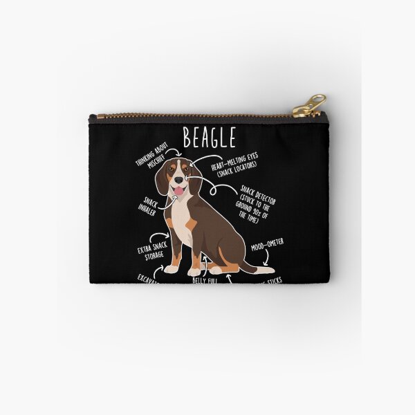 Artikelvorschau, Anatomie des Schokoladen-Beagles entworfen und verkauft von Clara Hollins.