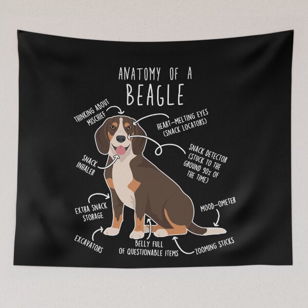Artikelvorschau, Anatomie des Schokoladen-Beagles entworfen und verkauft von Clara Hollins.
