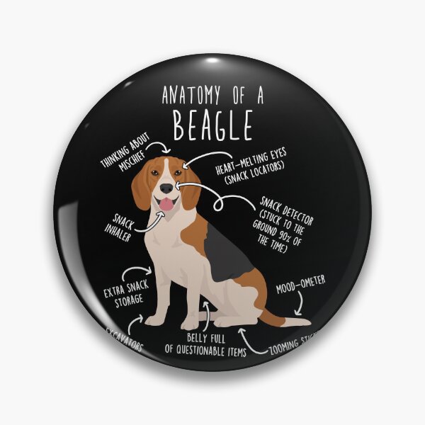 Artikelvorschau, Anatomie des Beagle-Hundes entworfen und verkauft von Clara Hollins.