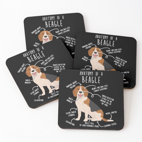 Item preview, Beagle Dog Anatomy designed and sold by Clara Hollins.