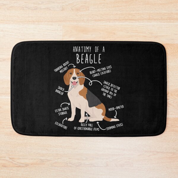Artikelvorschau, Anatomie des Beagle-Hundes entworfen und verkauft von Clara Hollins.