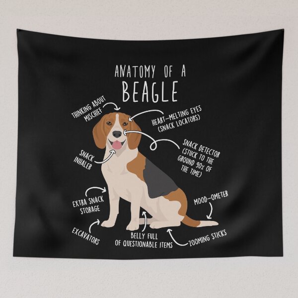 Item preview, Beagle Dog Anatomy designed and sold by Clara Hollins.
