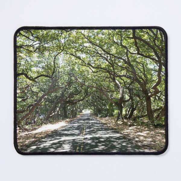 Item preview, Sunlit Road Through Forest – Nature Photography designed and sold by TrisaThyme.