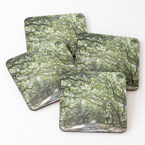Item preview, Sunlit Road Through Forest – Nature Photography designed and sold by TrisaThyme.